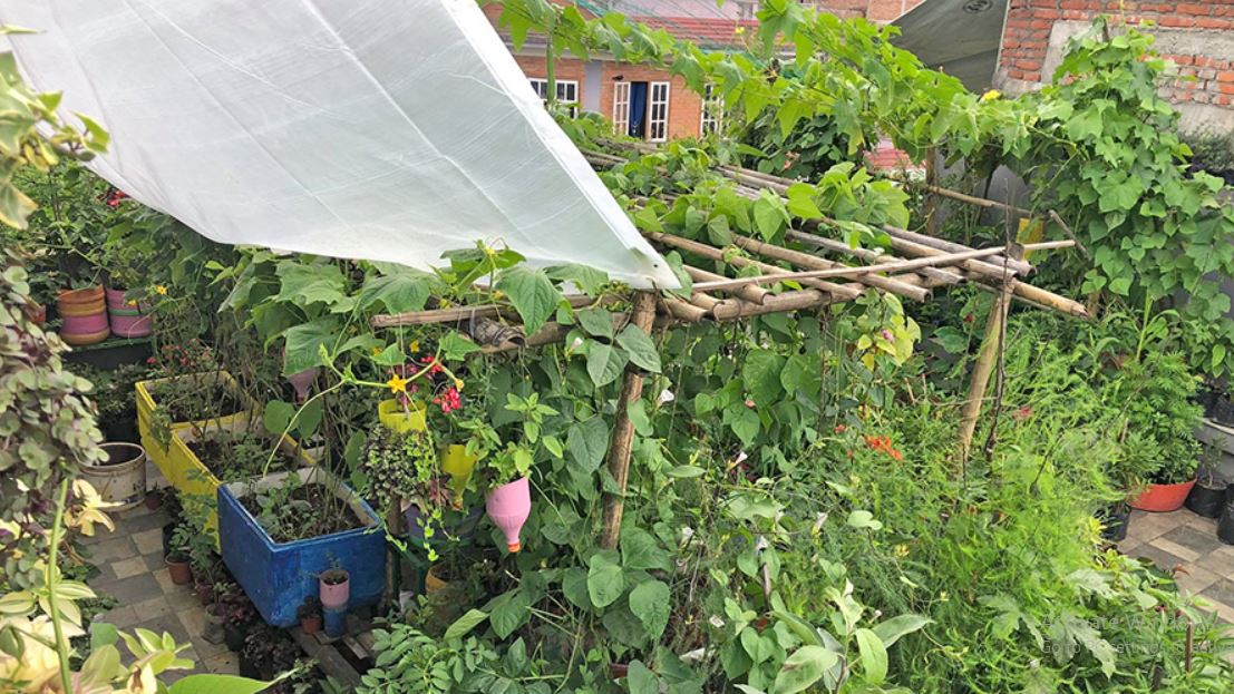 दोस्रो ‘कौसी क्विन २०७८’ प्रतियोगिता हुने